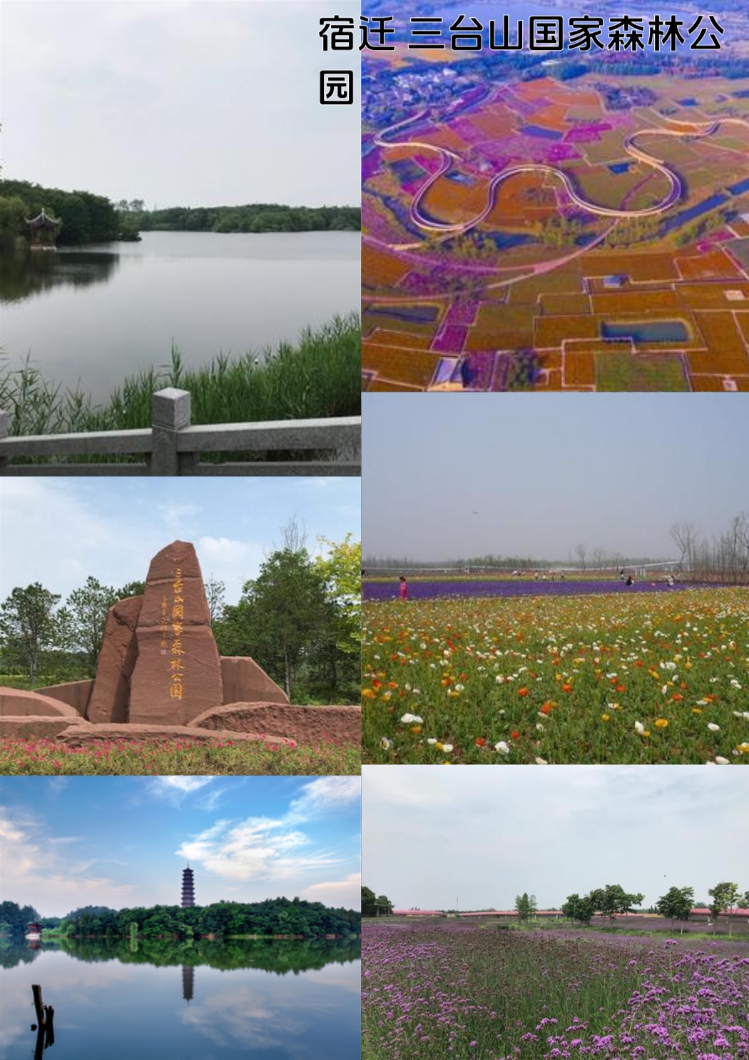 宿迁洋河酒厂文化旅游区实拍图