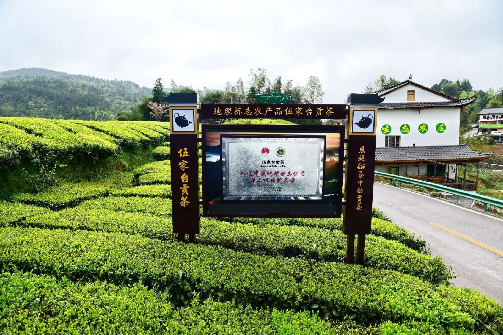 宣恩伍家台贡茶文化旅游区实拍图