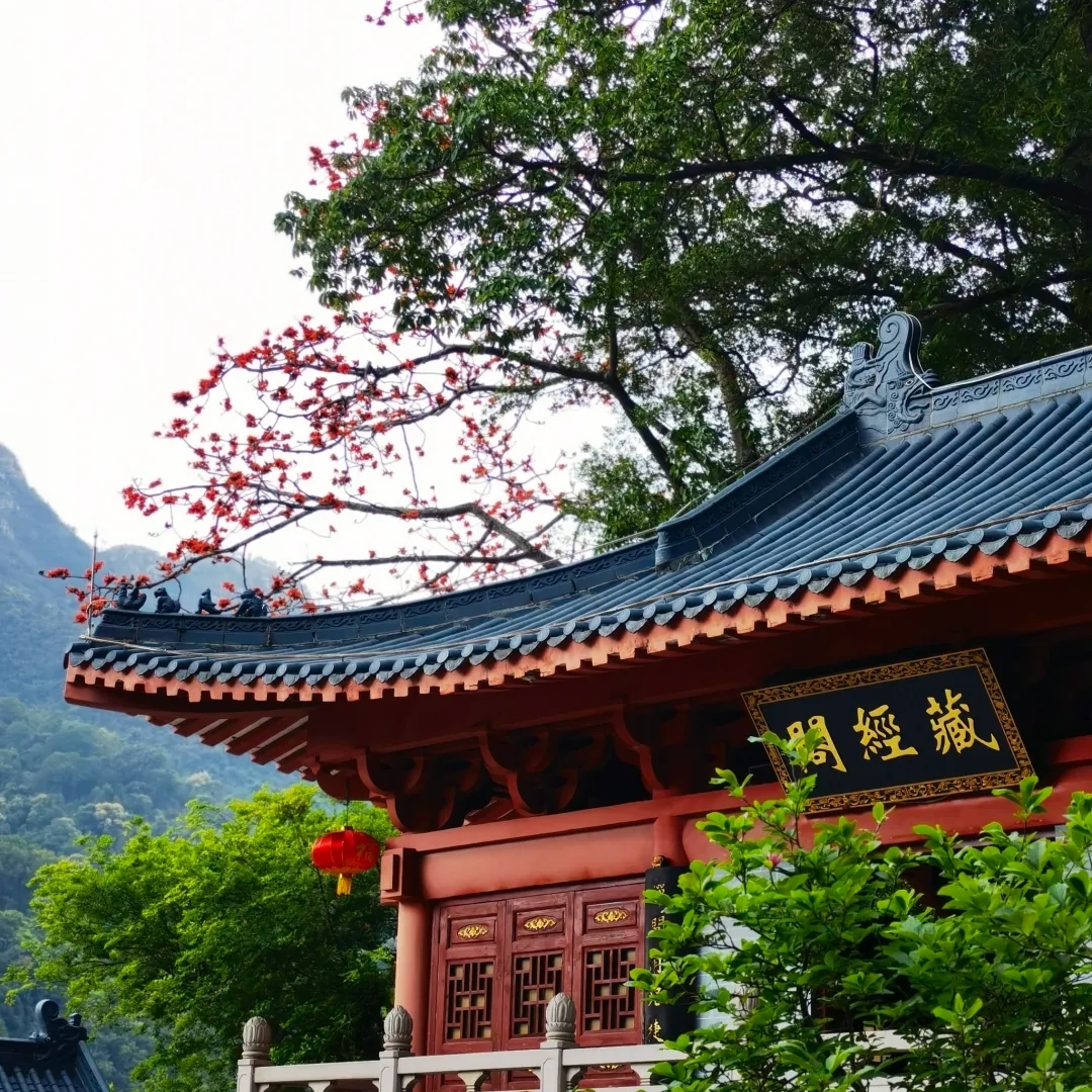 清远飞来寺实拍图