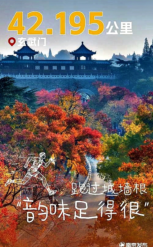 南京中央路实拍图