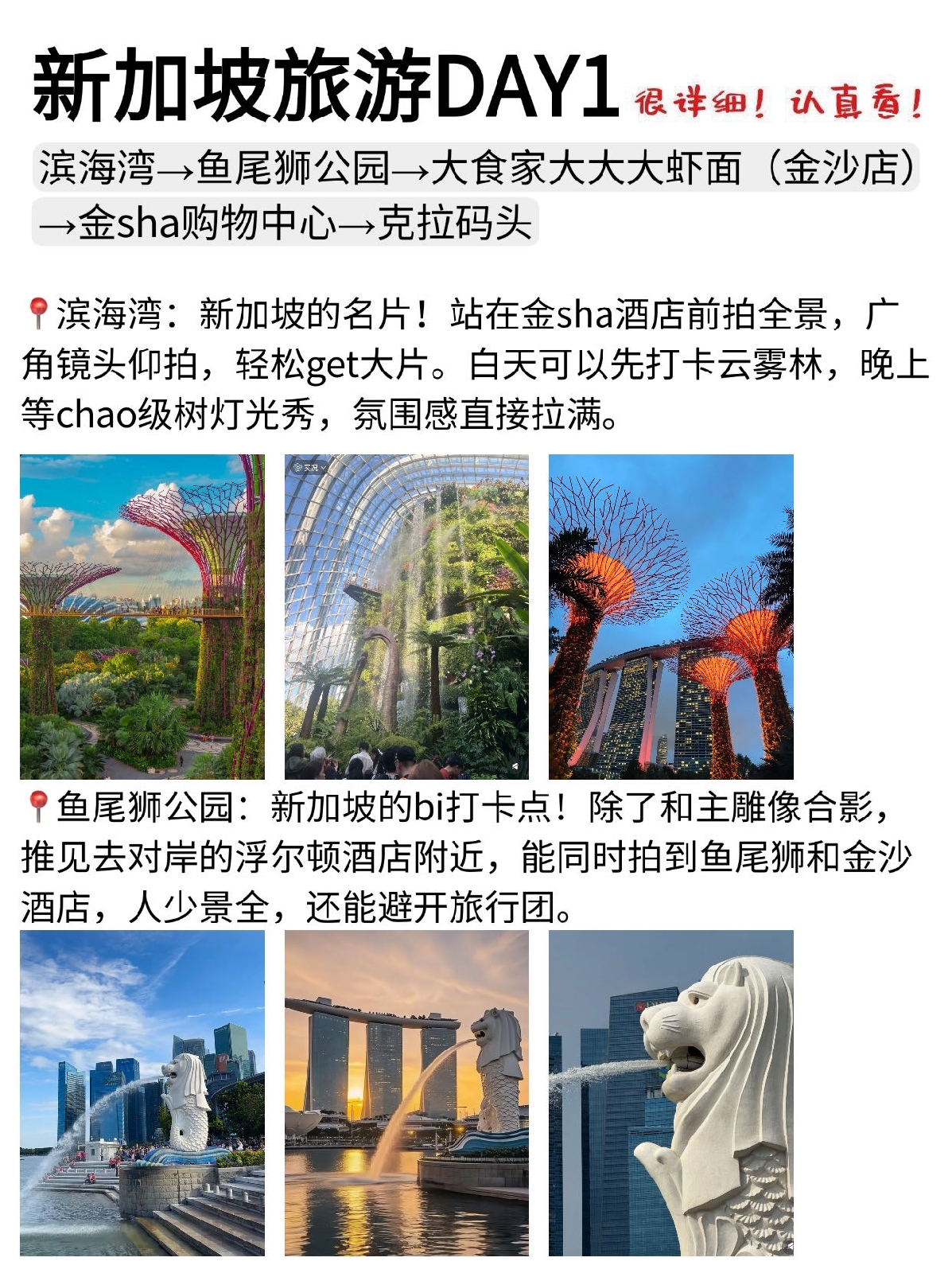 新加坡实拍图