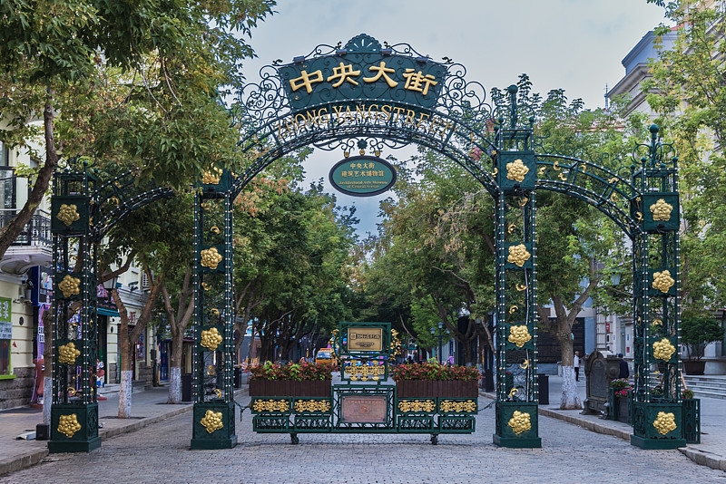 哈尔滨森林植物园实拍图