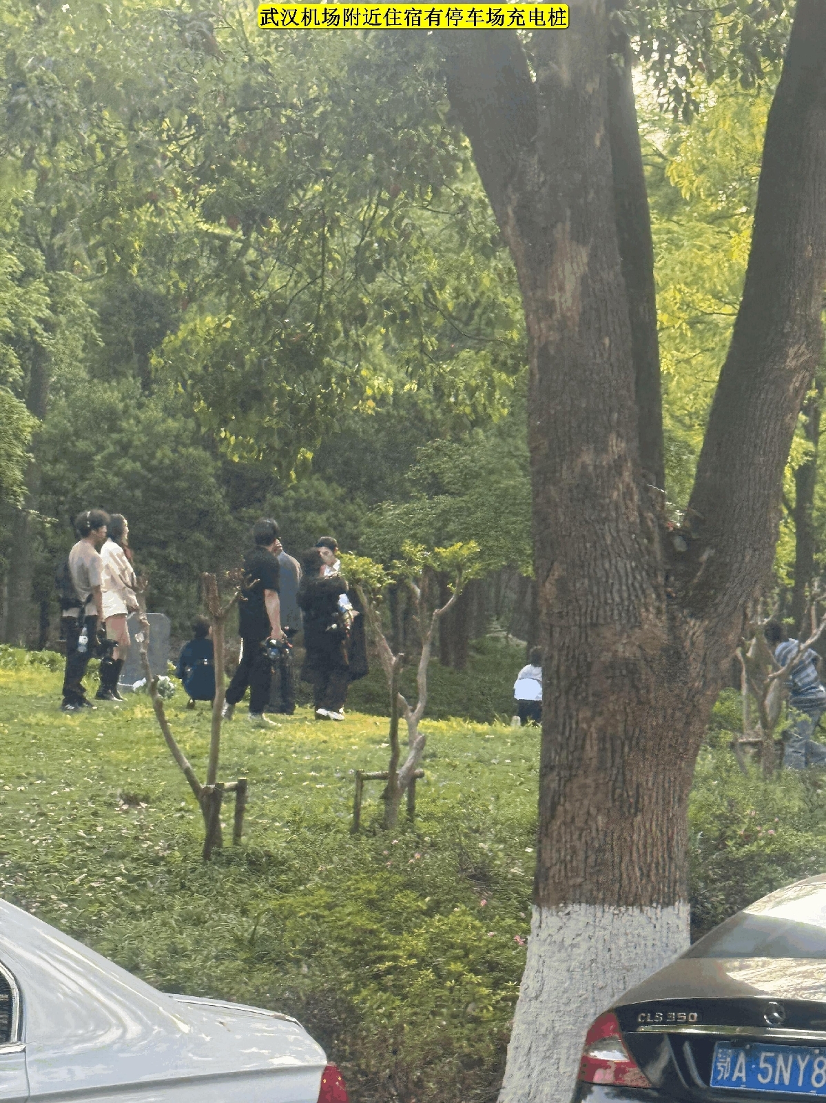 武汉盘龙城遗址公园实拍图