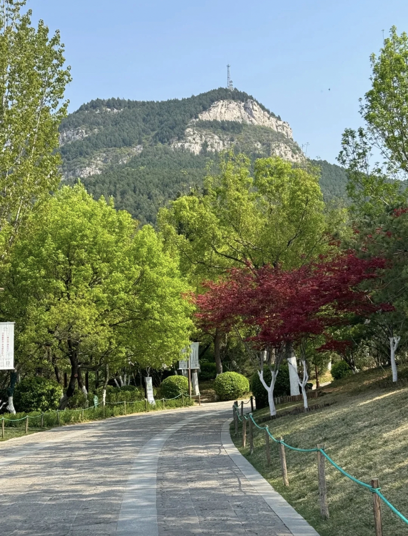 济南佛慧山实拍图