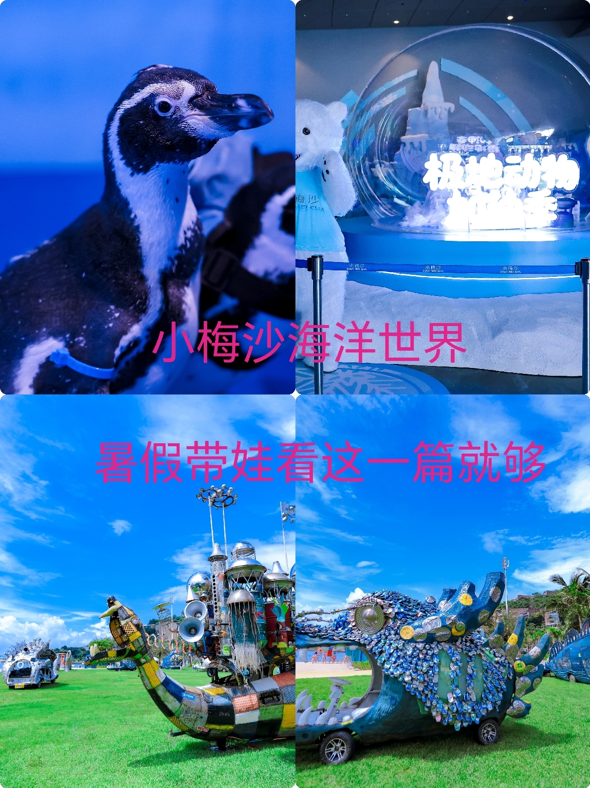 深圳小梅沙海洋世界实拍图
