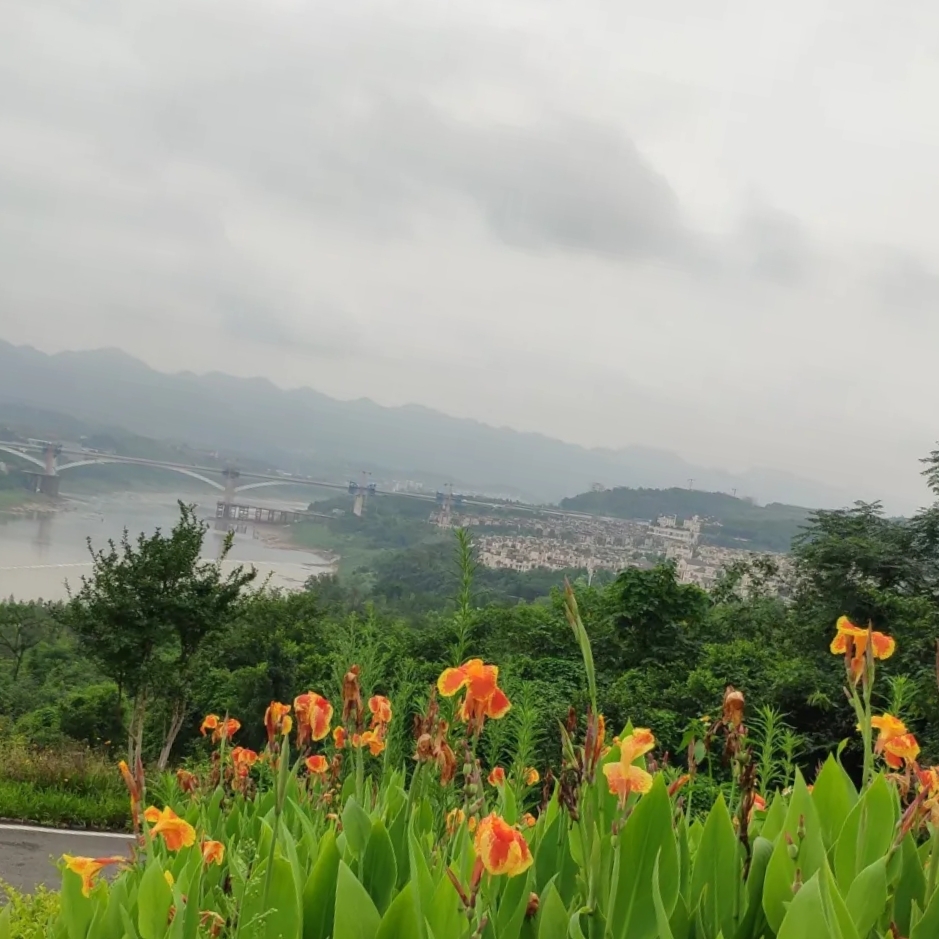 重庆九曲河湿地公园实拍图