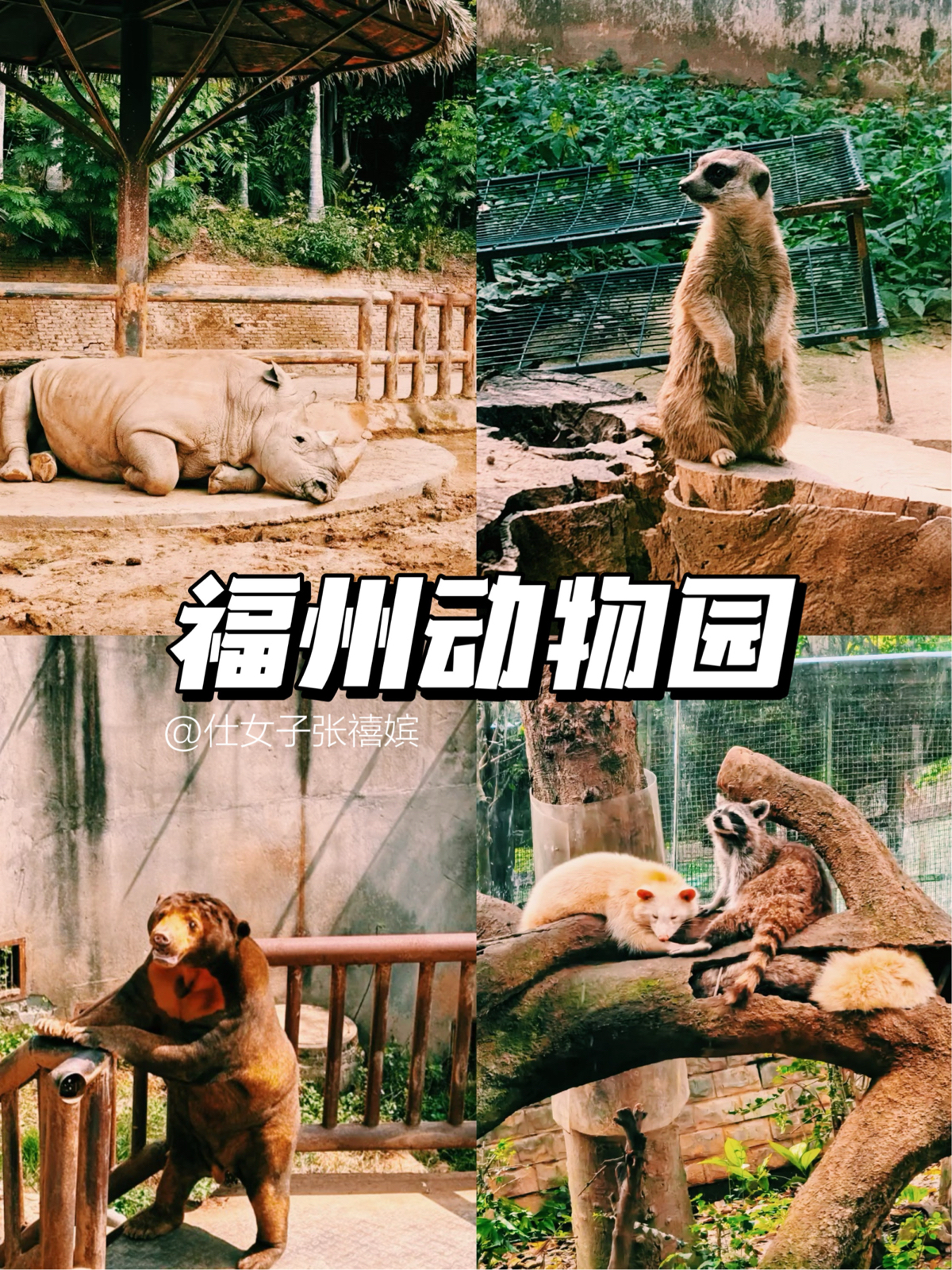 福州动物园实拍图