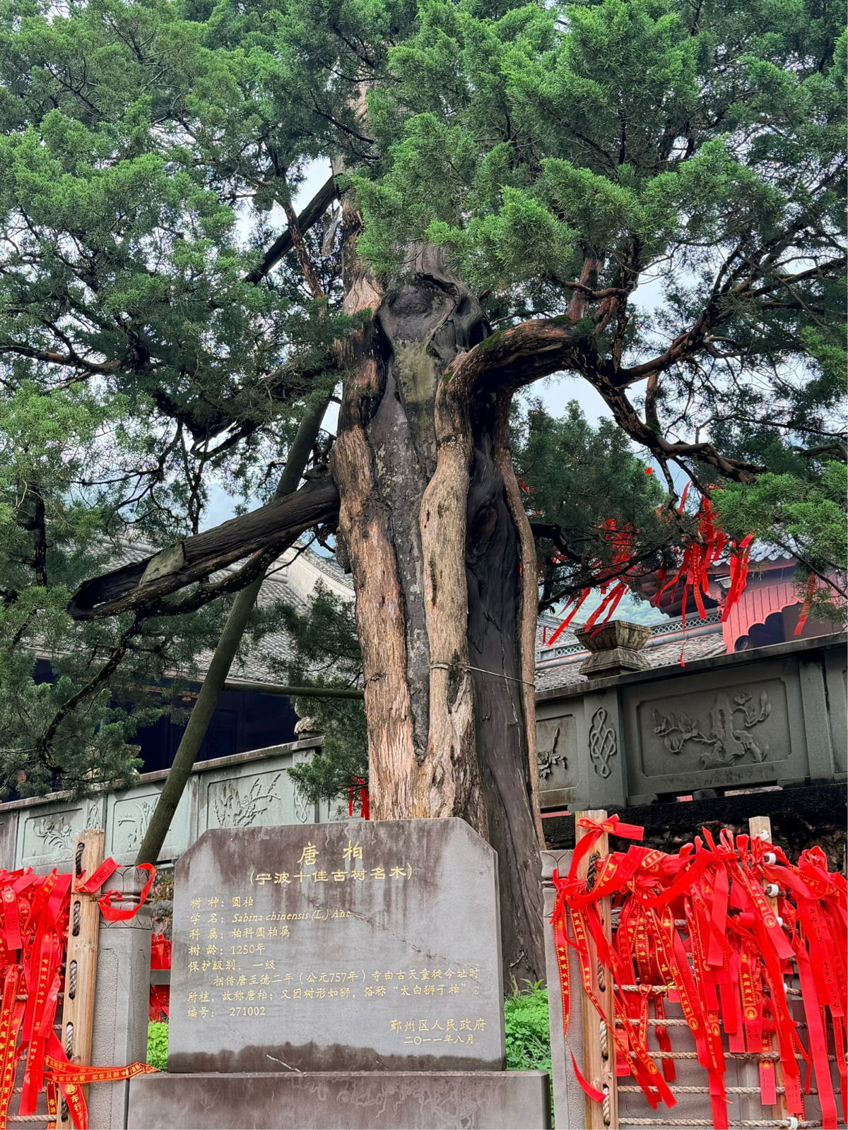 宁波天童寺九峰之巅实拍图