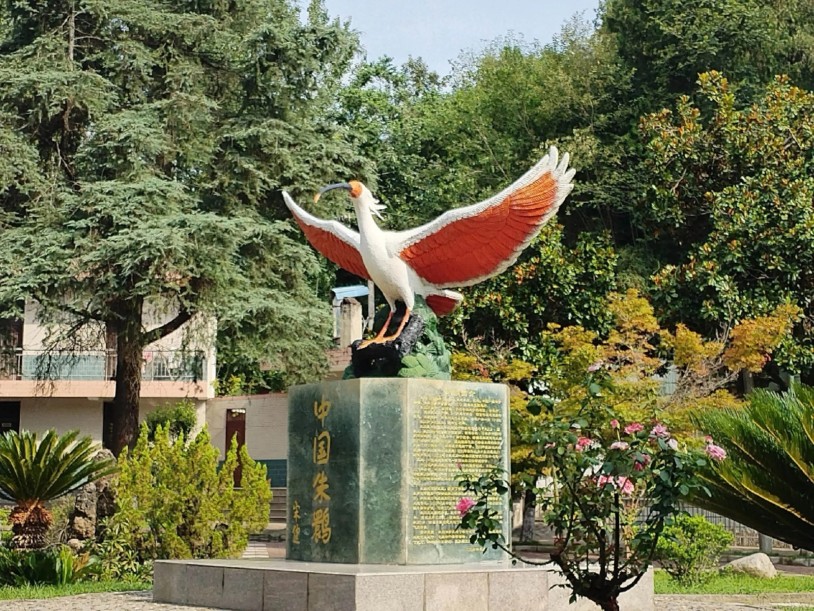 洋县朱鹮生态园实拍图