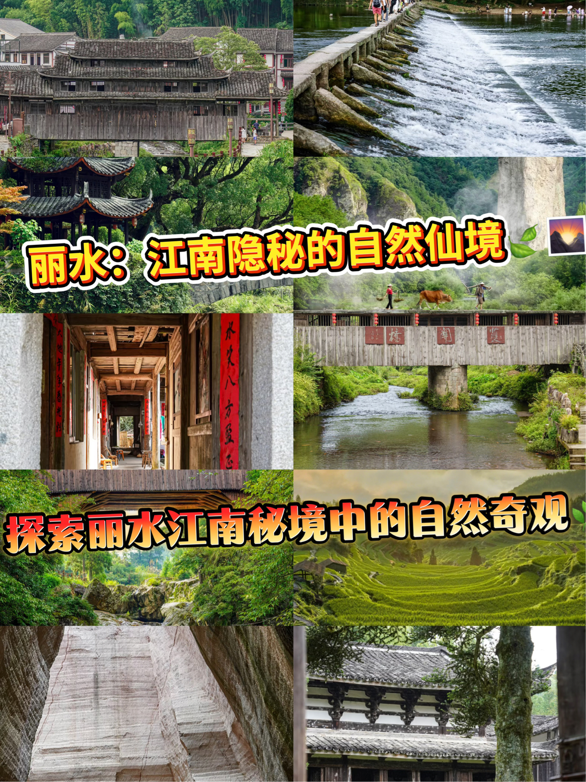 丽水实拍图