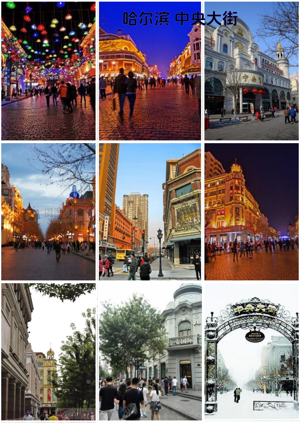 哈尔滨极地公园·极地馆实拍图