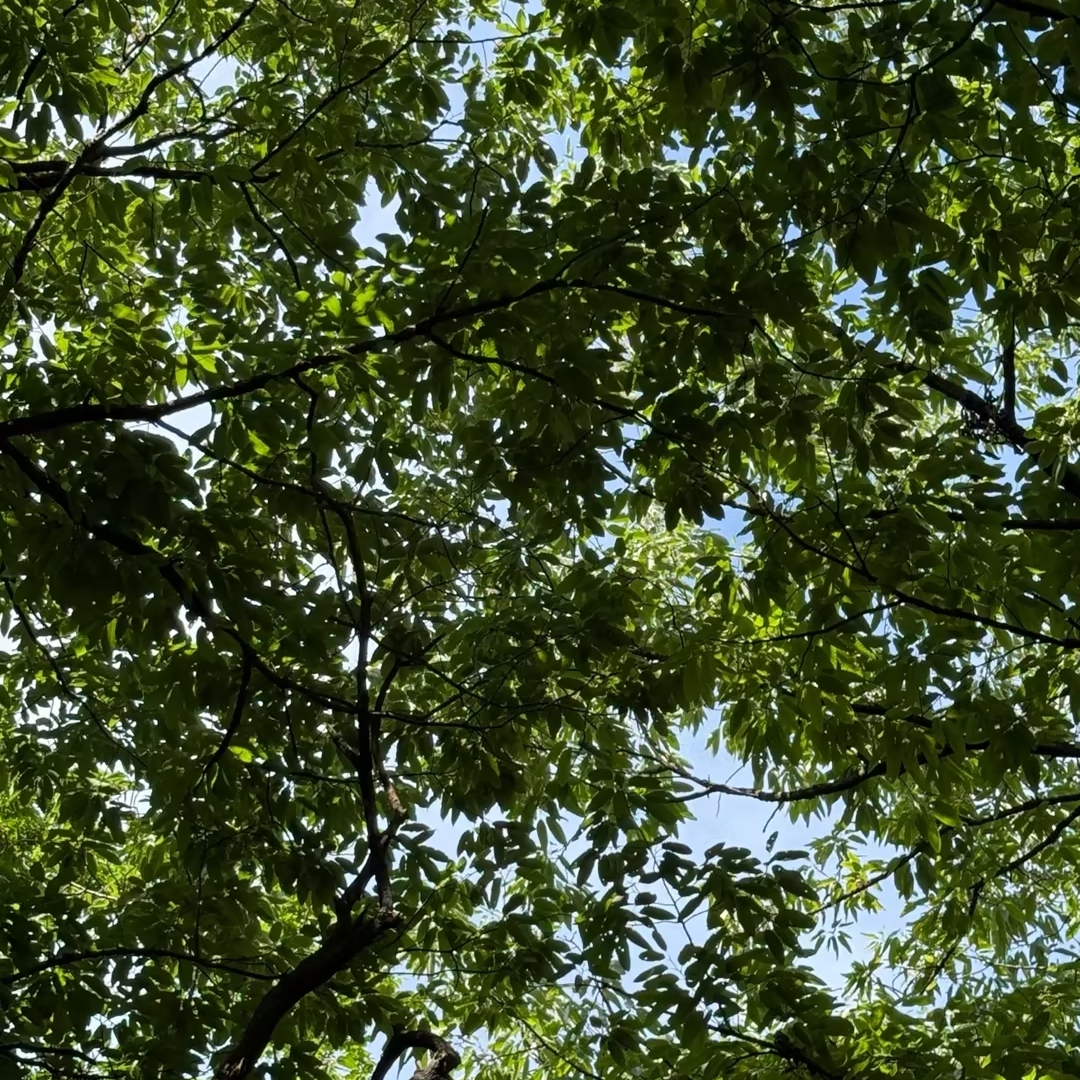苏州穹窿山景区实拍图