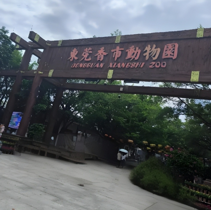 东莞可园实拍图