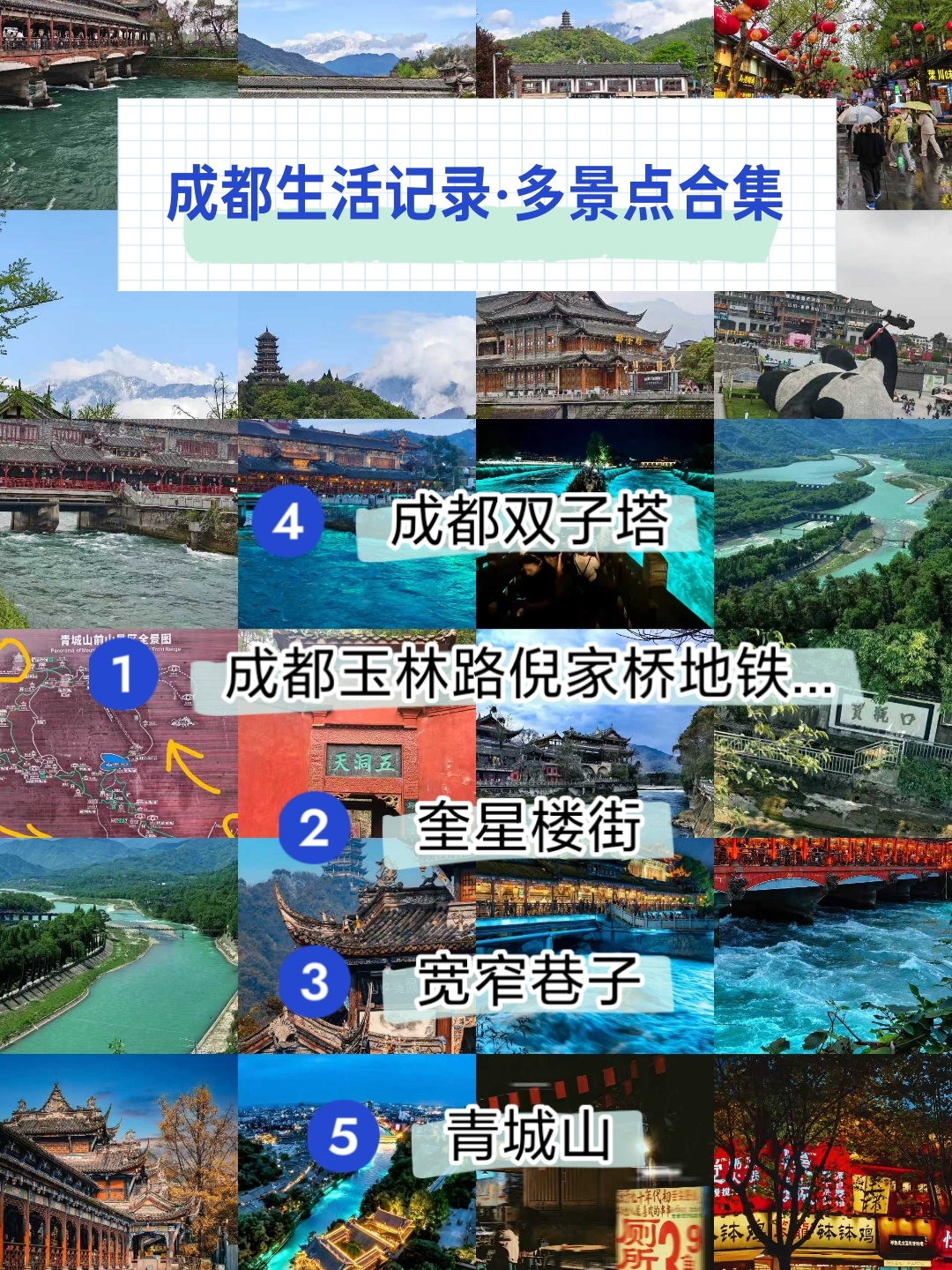 成都大熊猫繁育研究基地实拍图