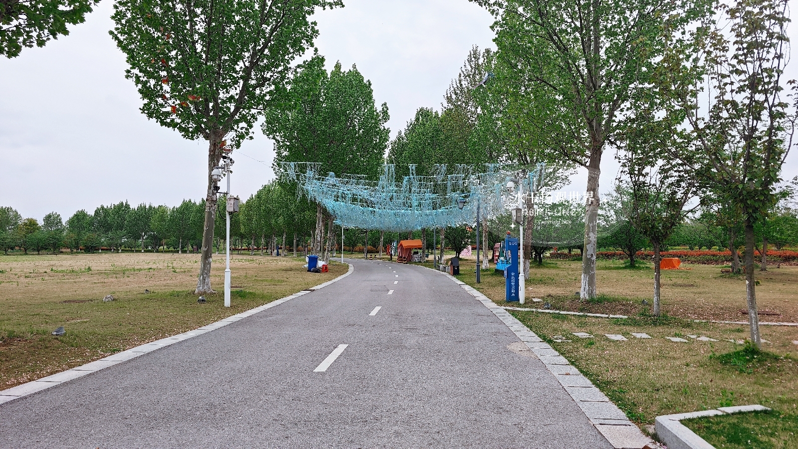 泰州凤栖湖景区实拍图