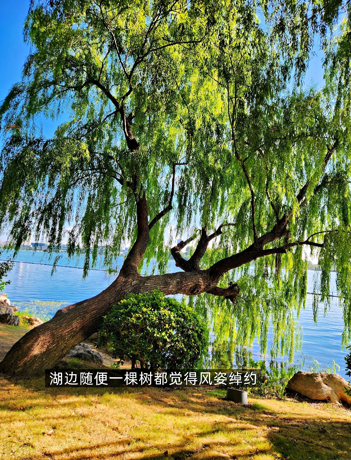 南京实拍图