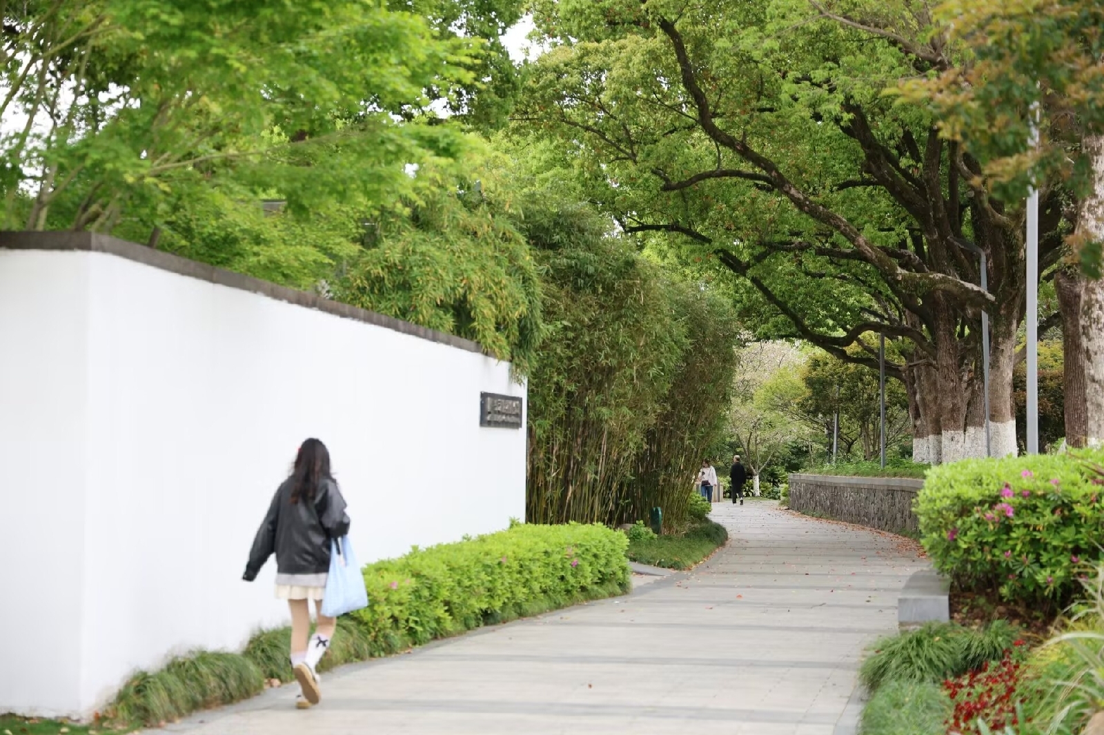 宁波绿岛公园实拍图