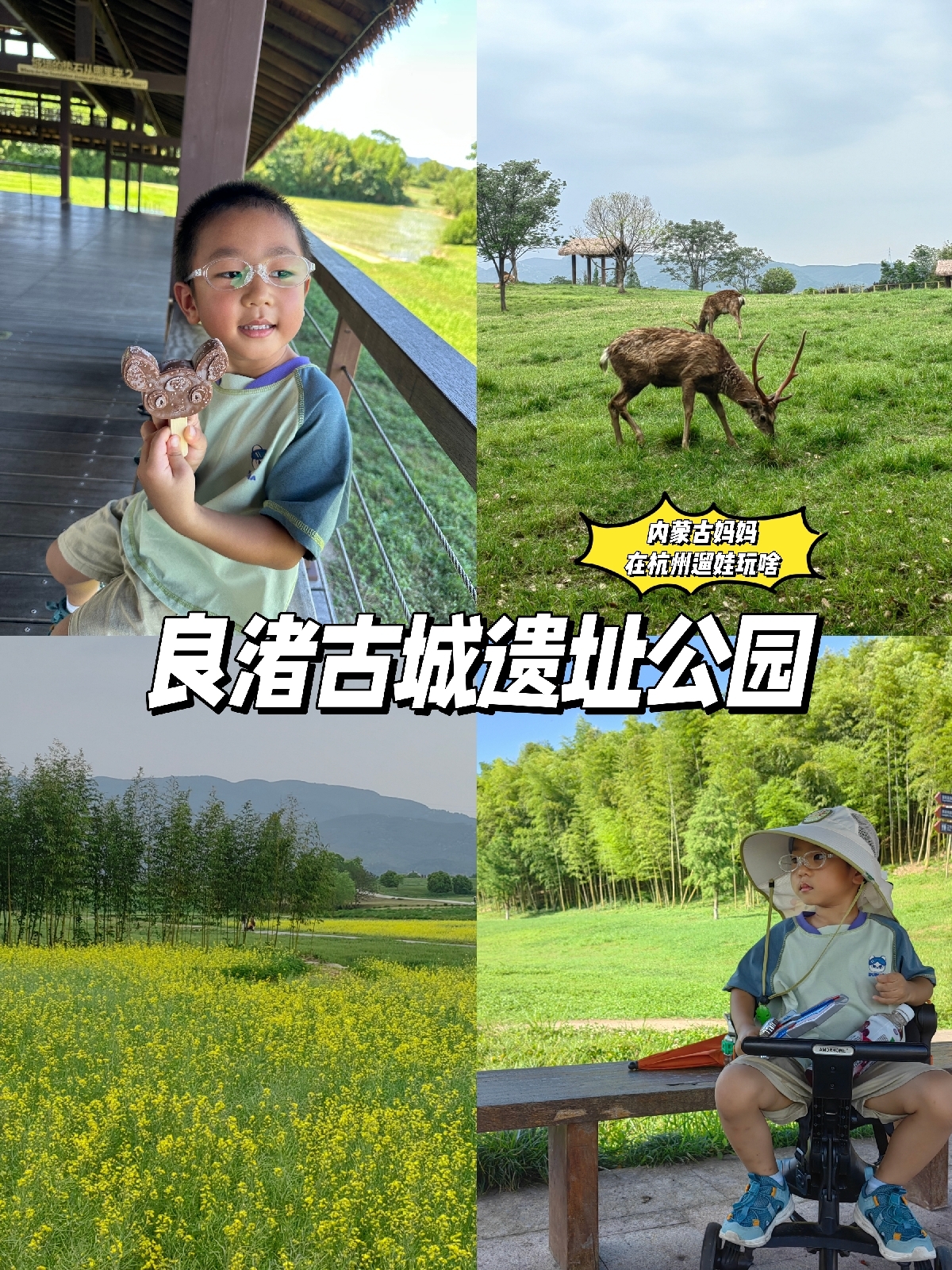 杭州良渚古城遗址公园实拍图