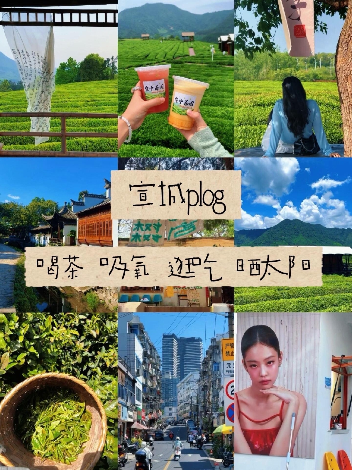宣城路西空中茶园实拍图