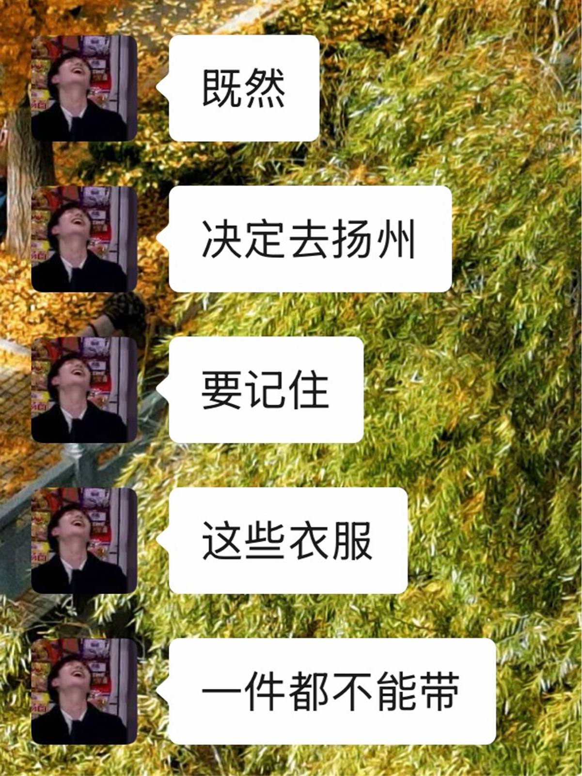扬州实拍图