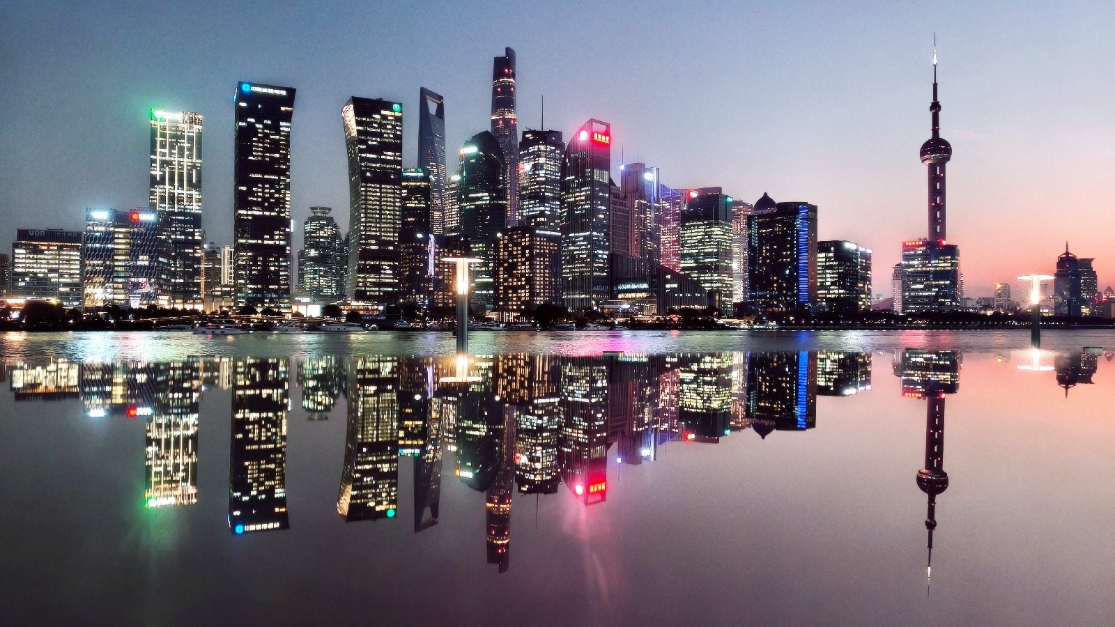 陆丰上海外滩-海豚实拍图