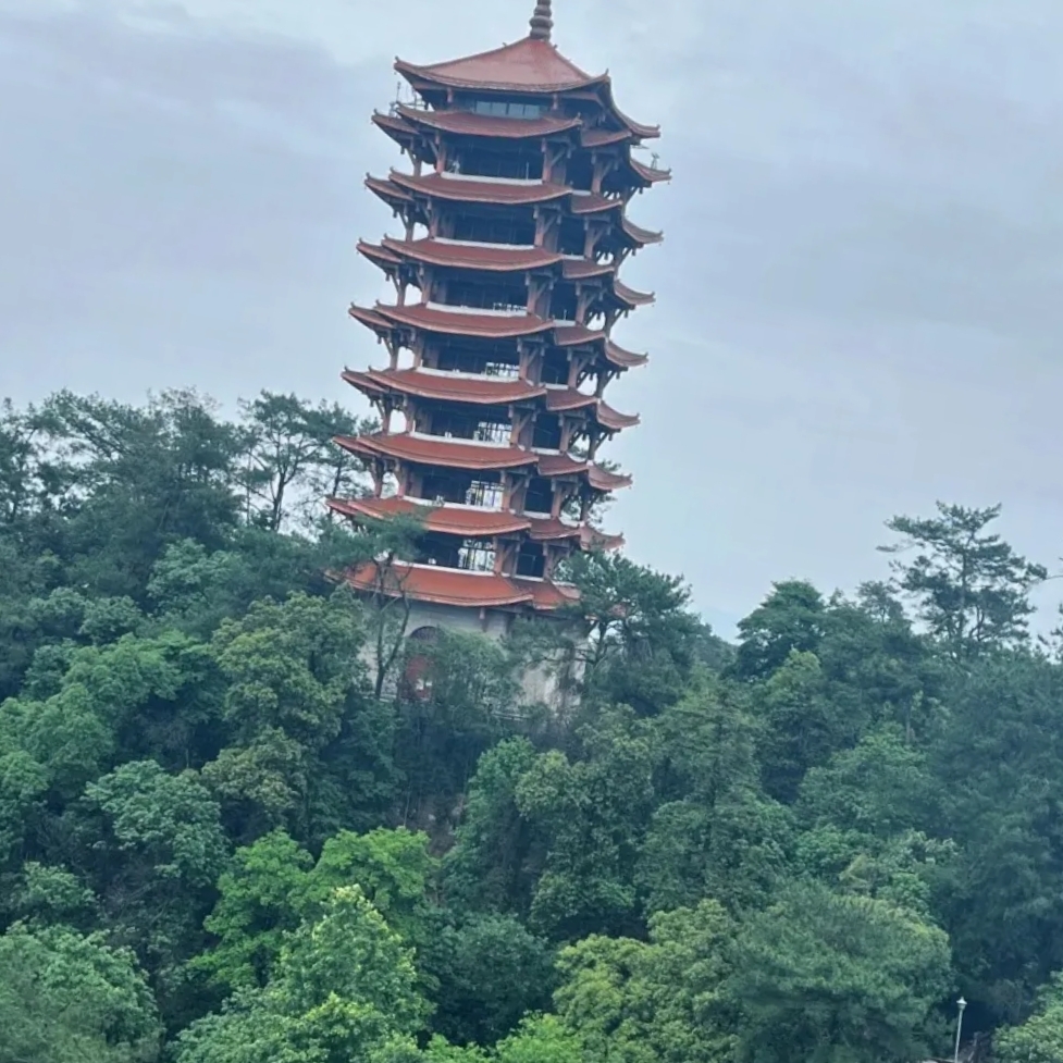 重庆缙云山实拍图