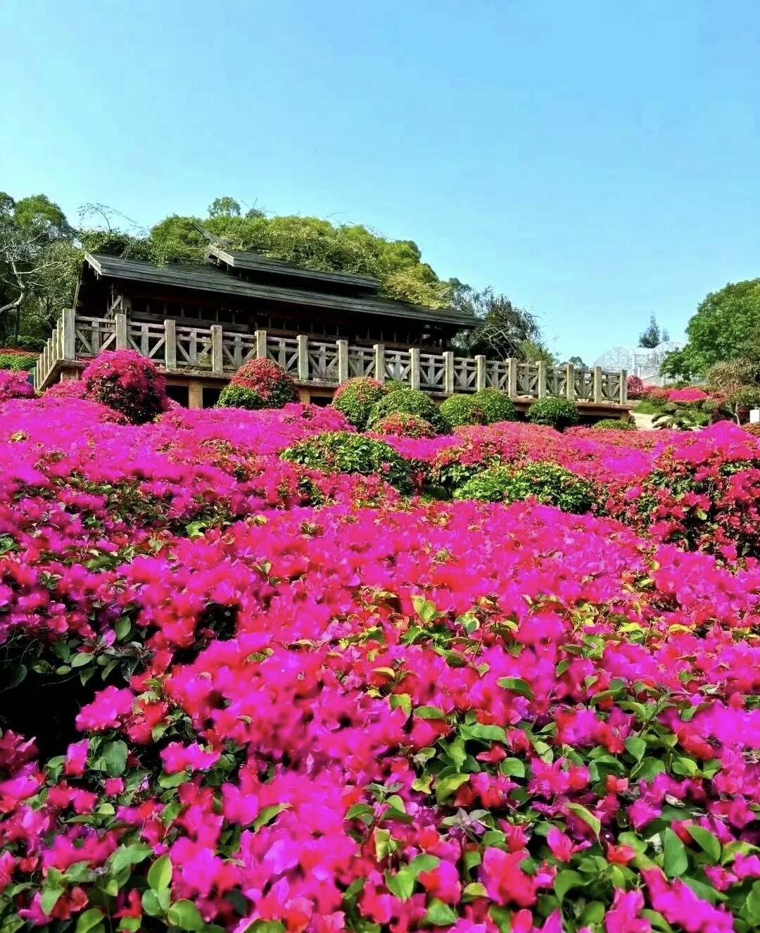 厦门梅海岭实拍图