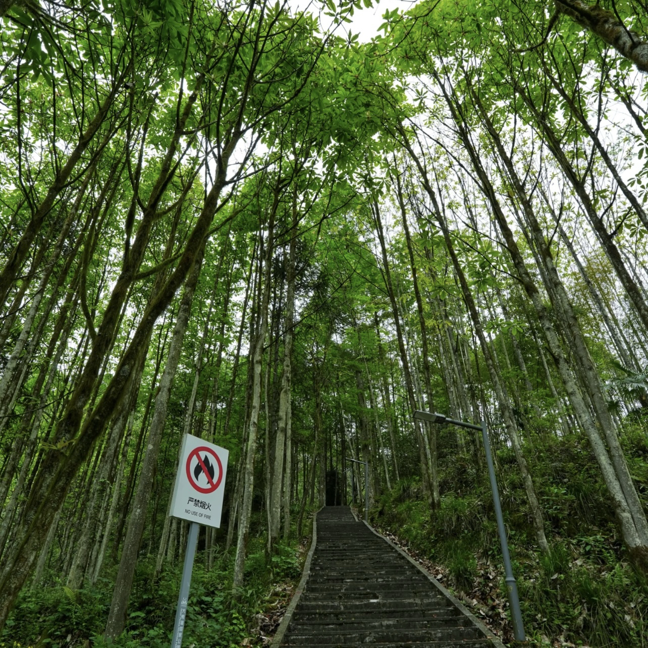西岭雪山成都实拍图