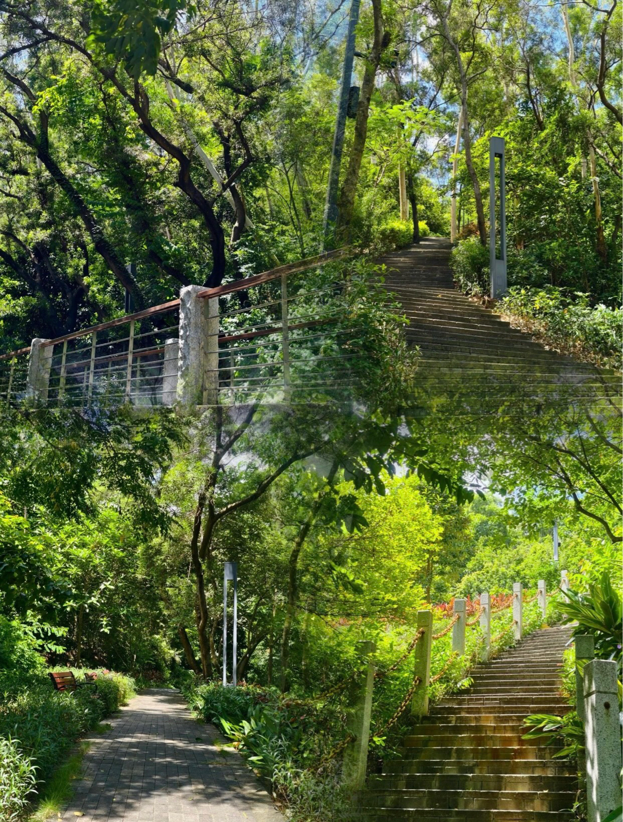 深圳梅林公园实拍图