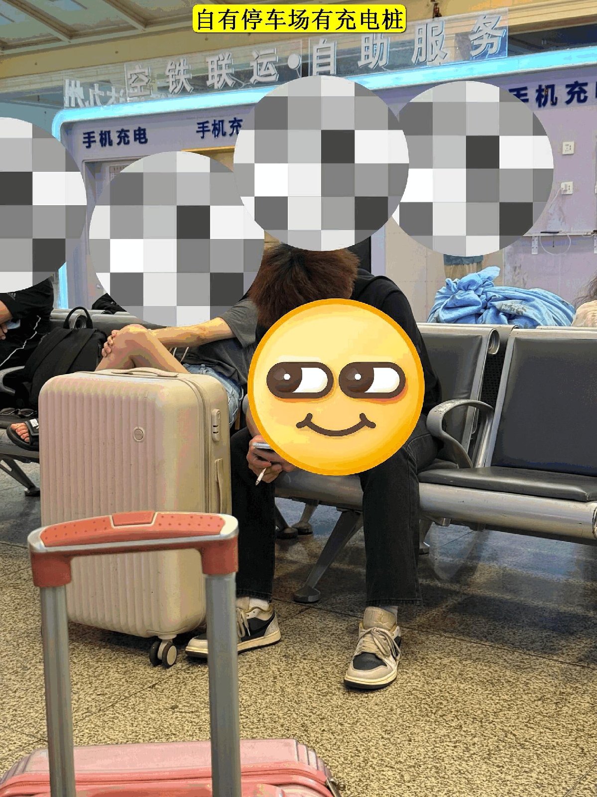 武汉武大樱花大道实拍图