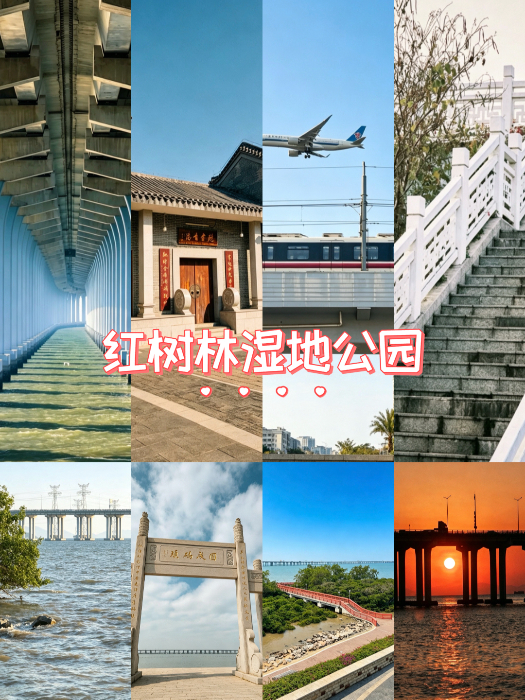深圳西湾红树林公园-1号观海台实拍图