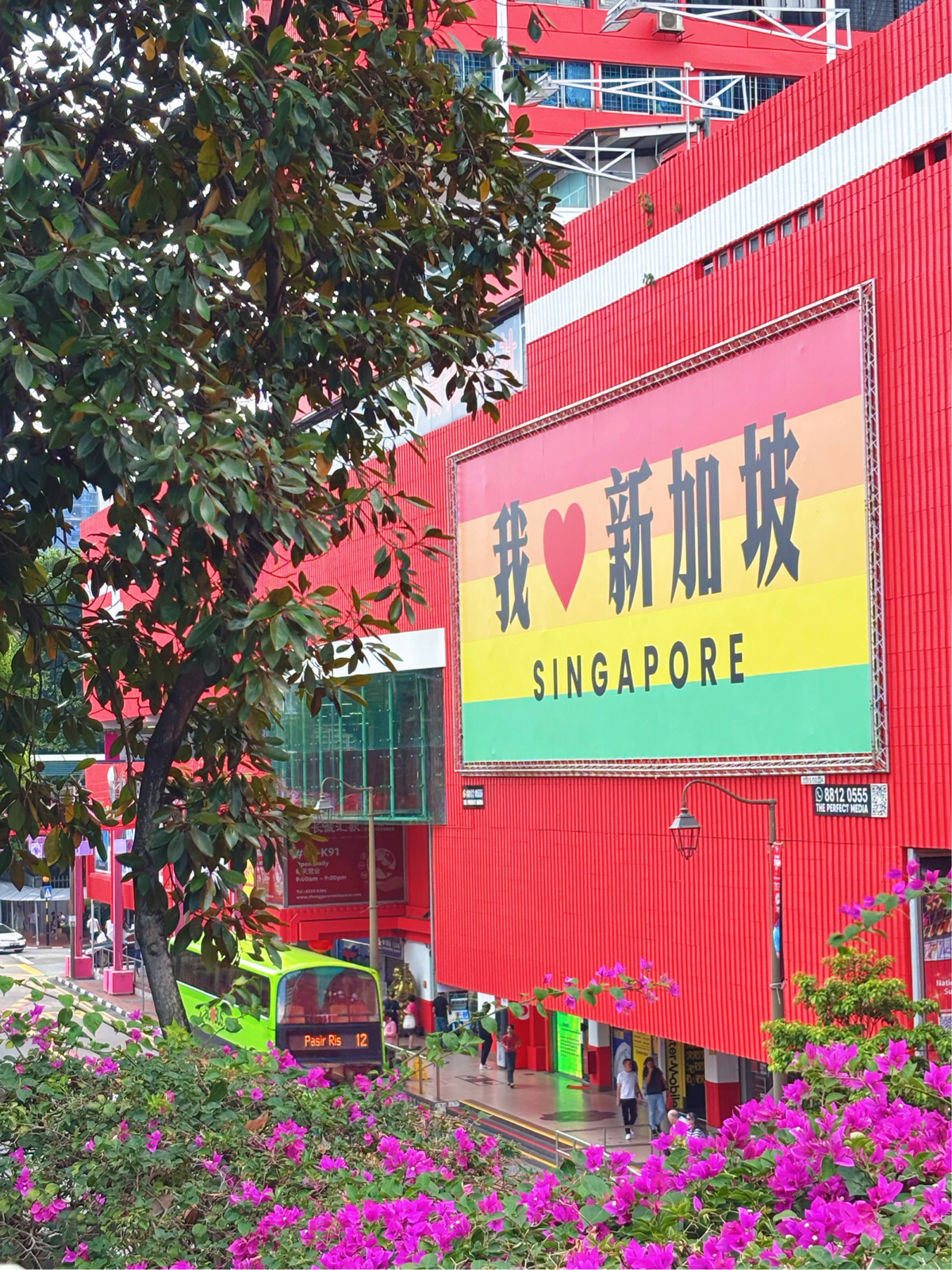 新加坡实拍图