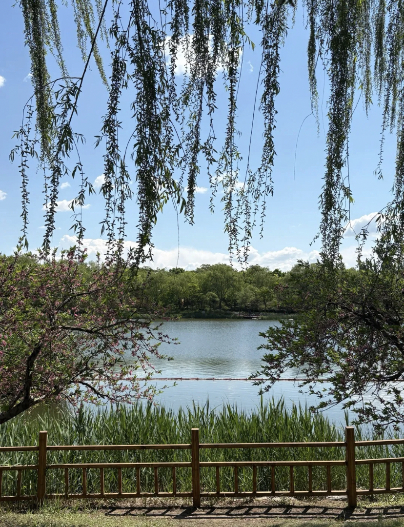 三河燕郊植物园实拍图
