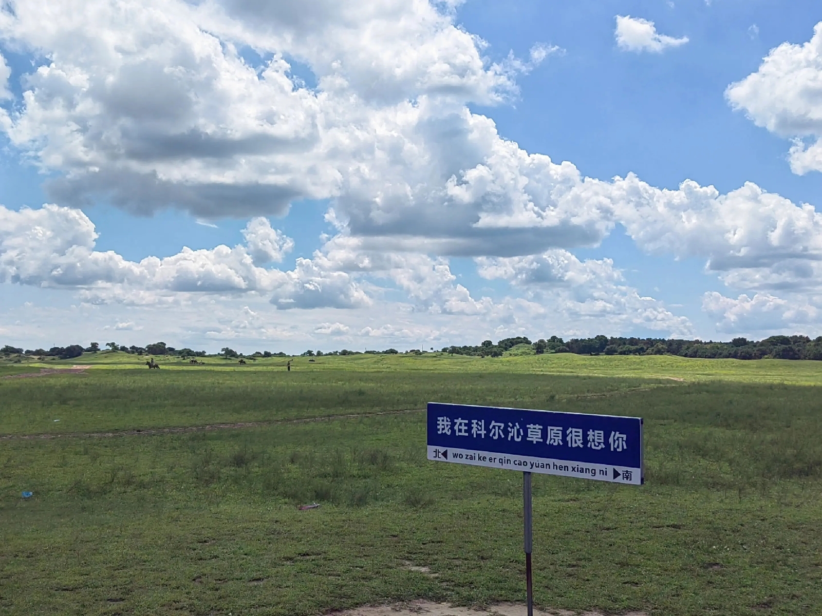 宽甸科尔沁草原实拍图
