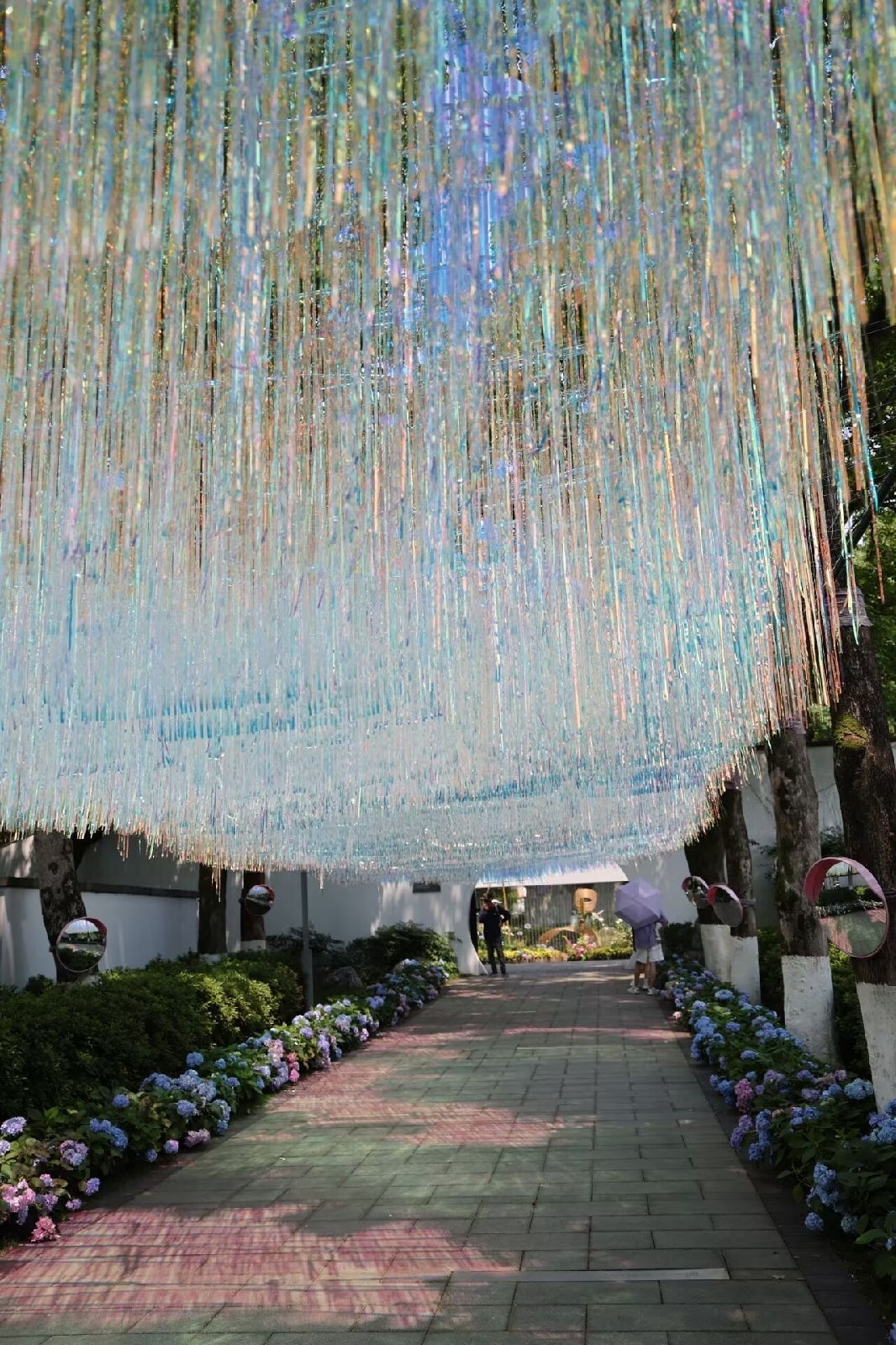 宁波姚江实拍图