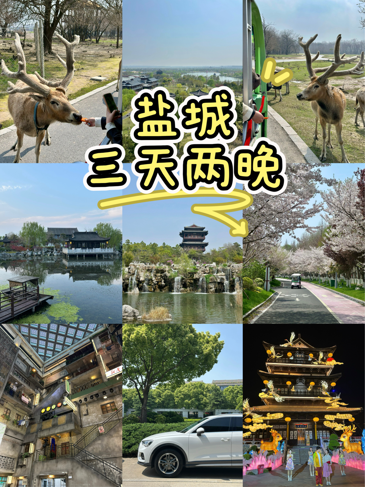 盐城实拍图