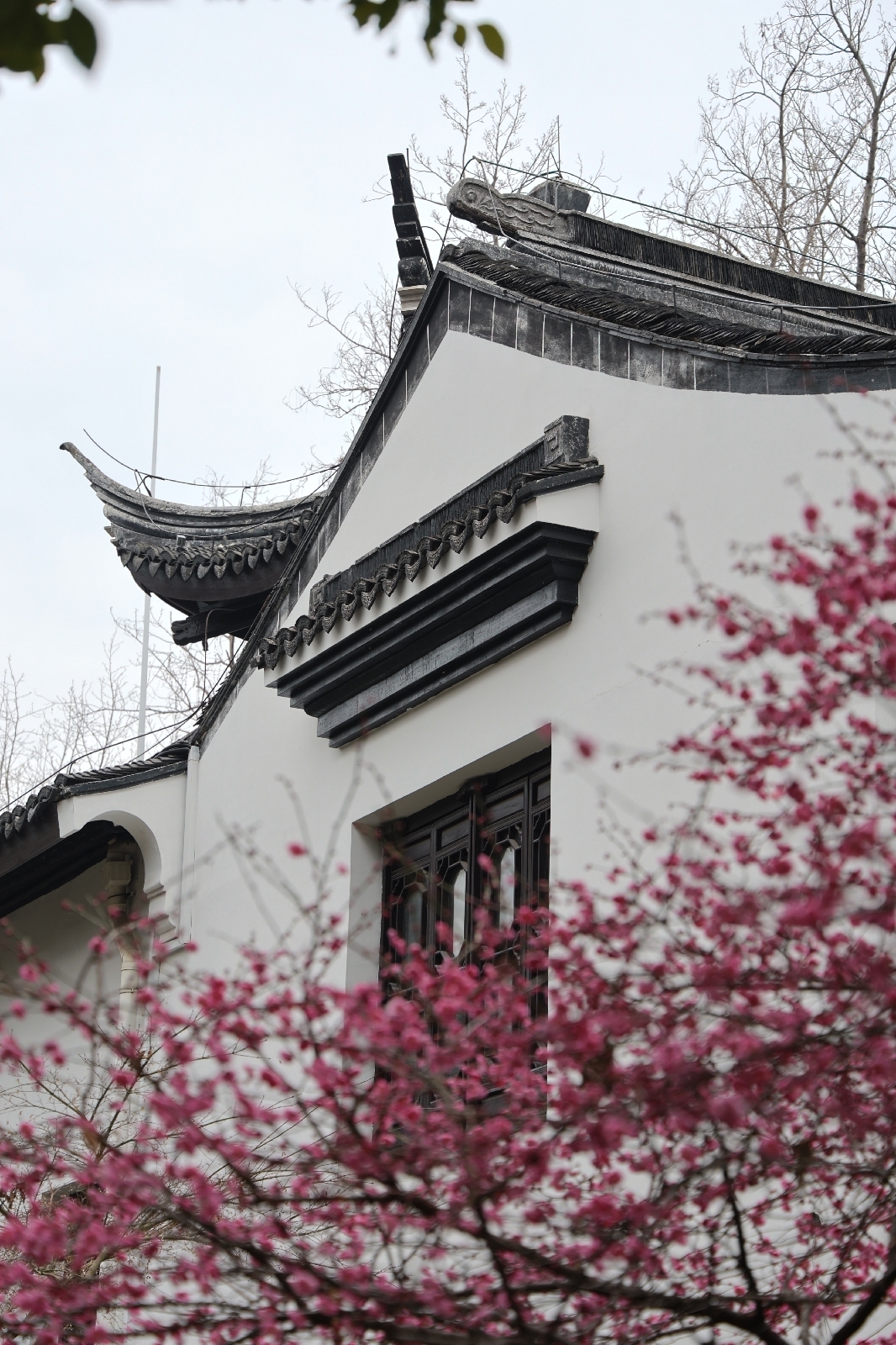 嘉兴瓶山公园实拍图