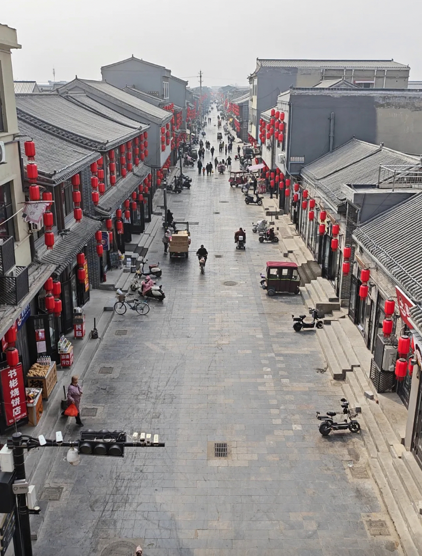 大名府古槐实拍图