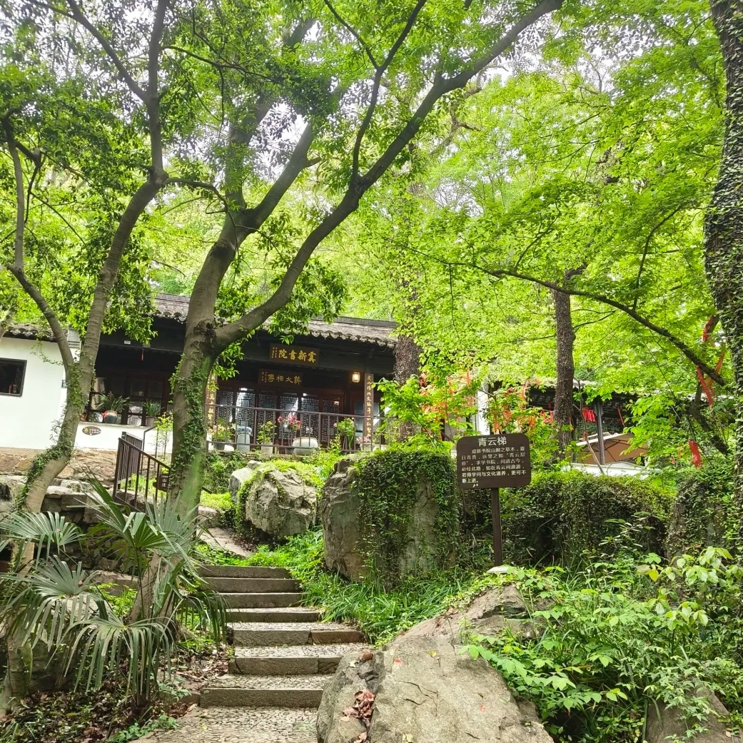 常熟虞山国家森林公园实拍图