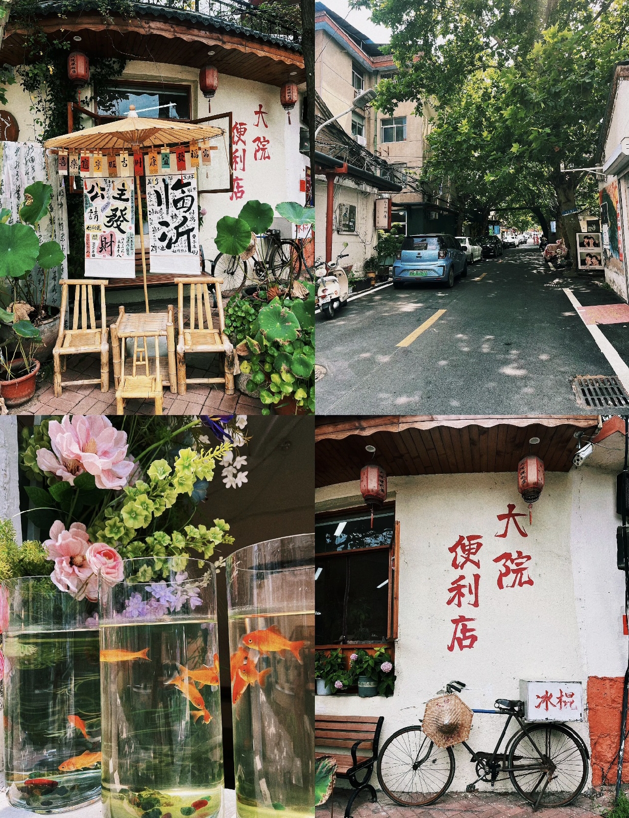 临沂实拍图
