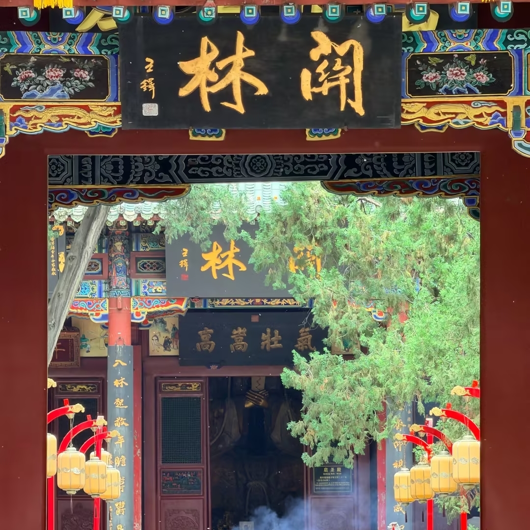 关林实拍图