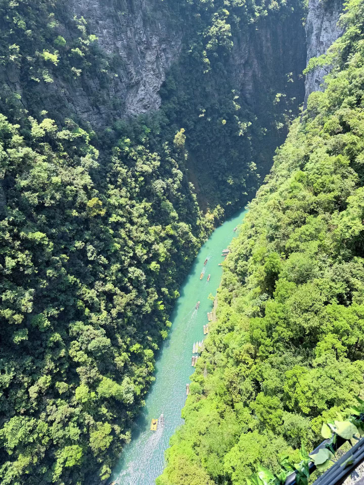 鹤峰屏山峡谷-观景台实拍图