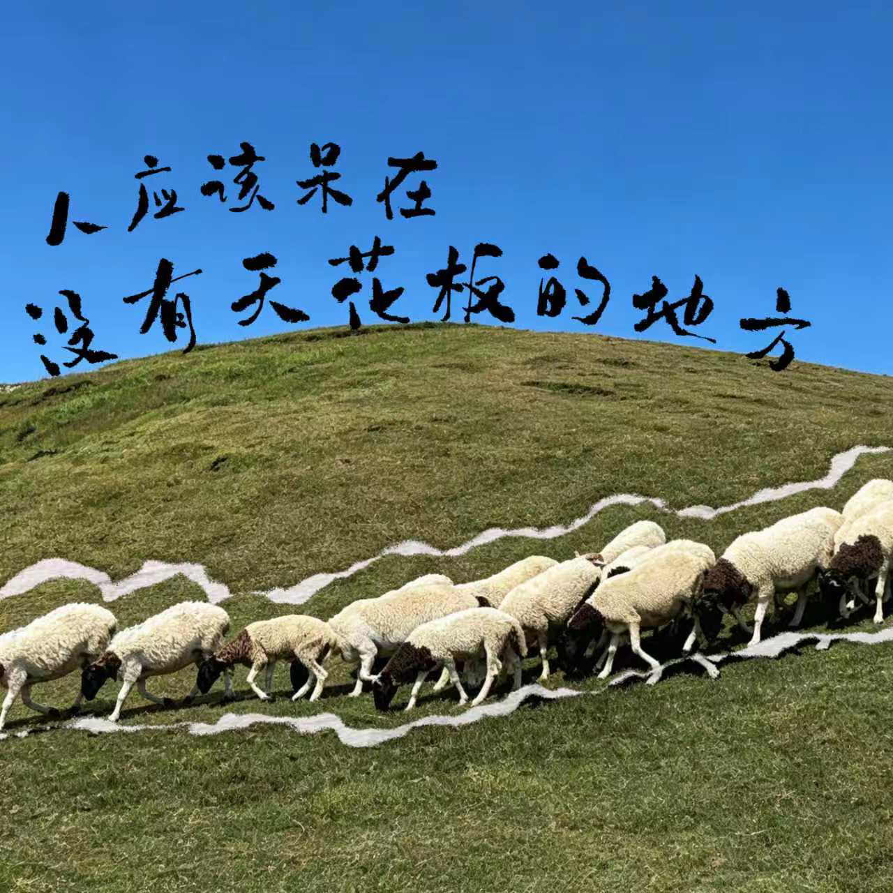 郴州仰天湖草原风景区实拍图