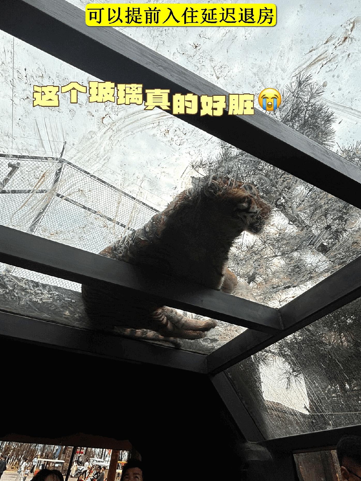 武汉园博园实拍图