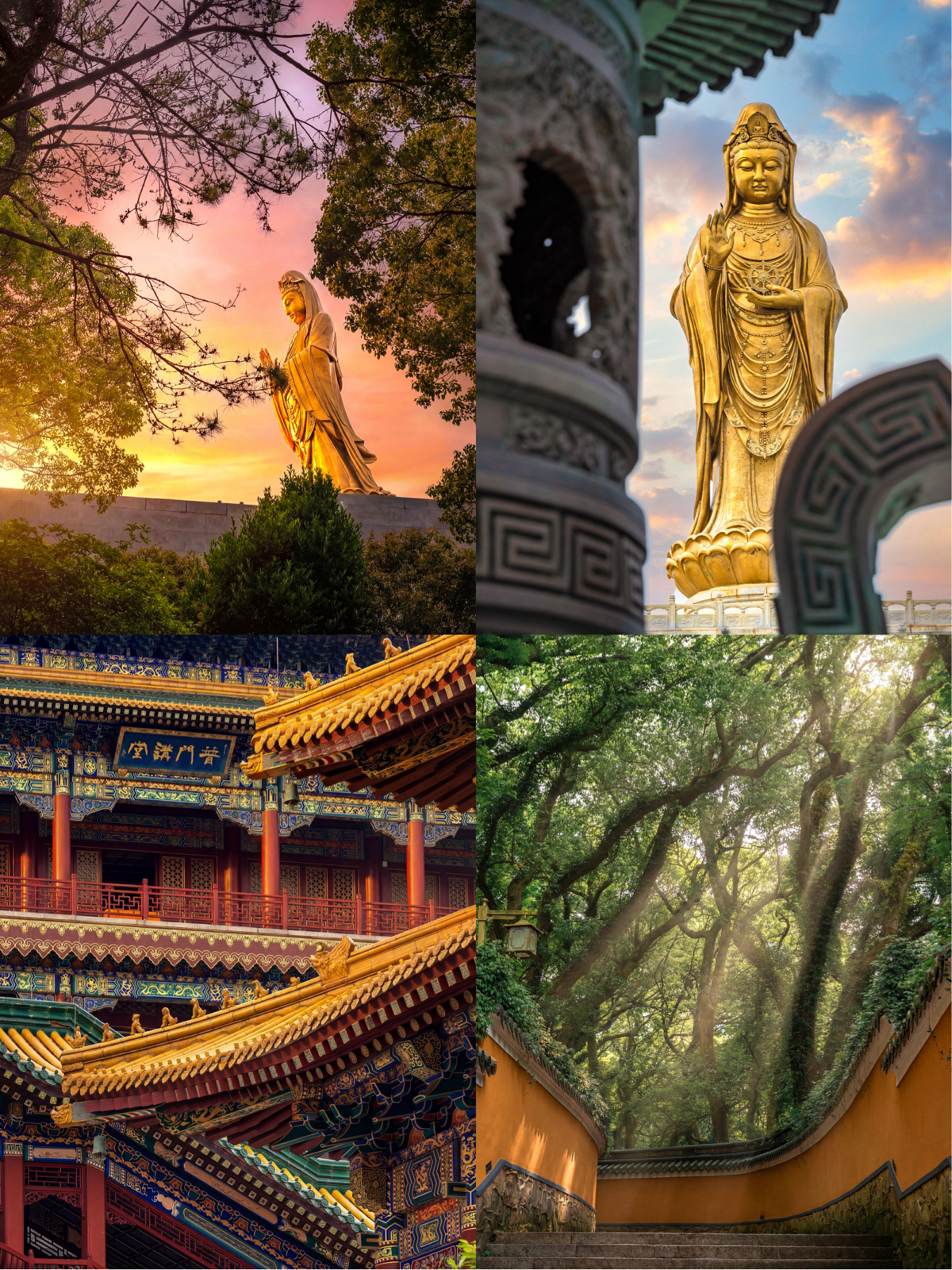 舟山普陀山实拍图