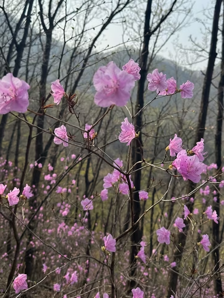 北京天云山风景区实拍图1