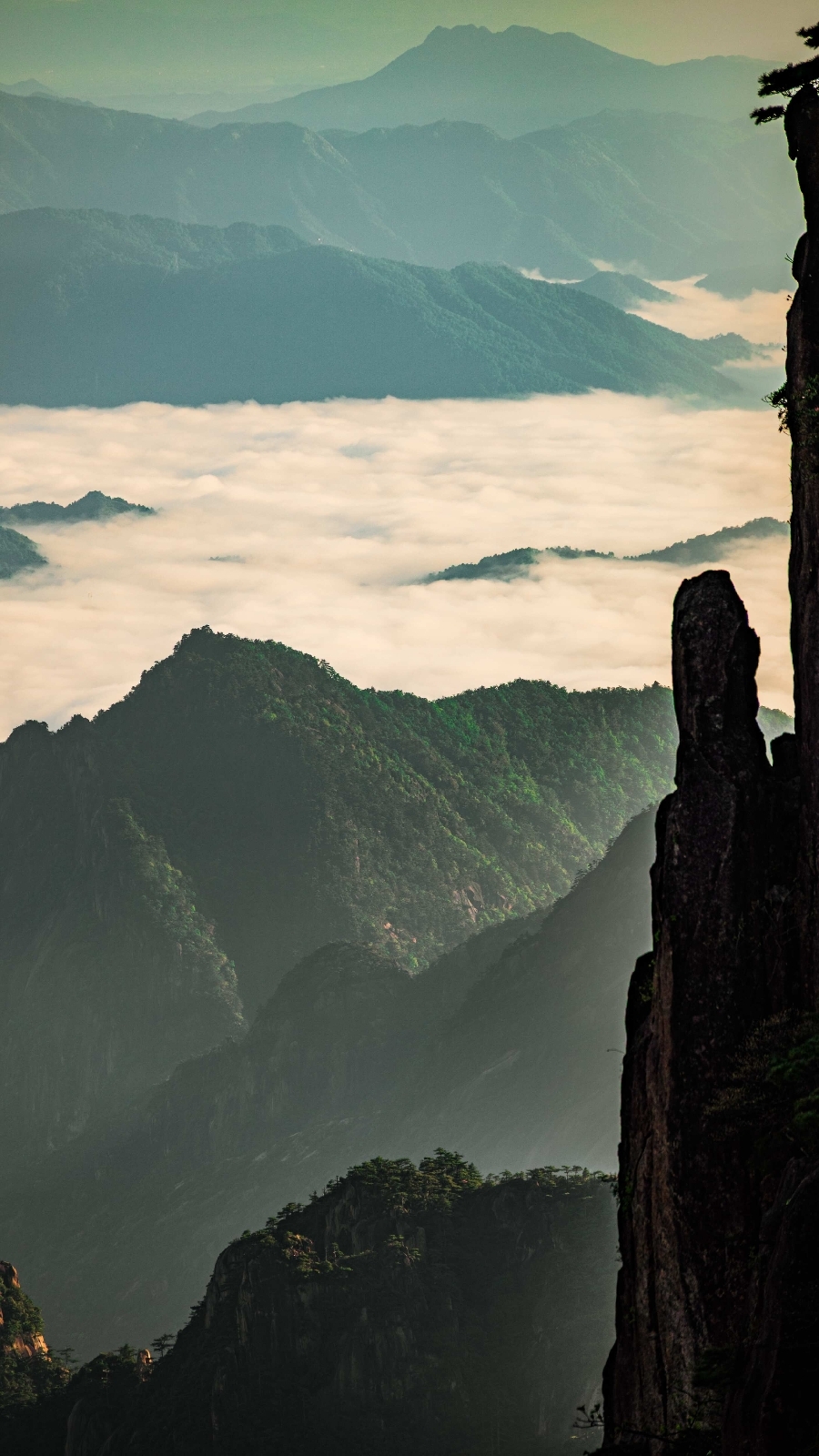 黄山市黄山风景区实拍图