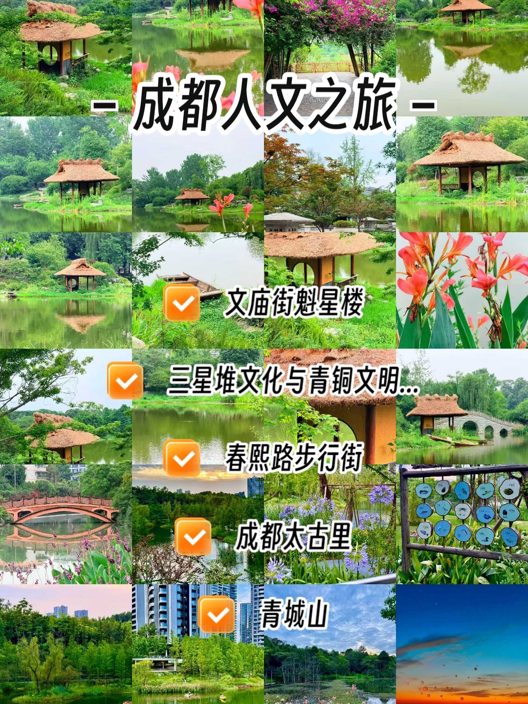 成都大学实拍图