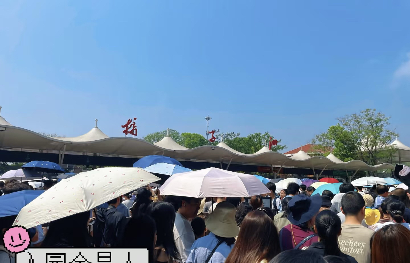 长沙橘子洲实拍图