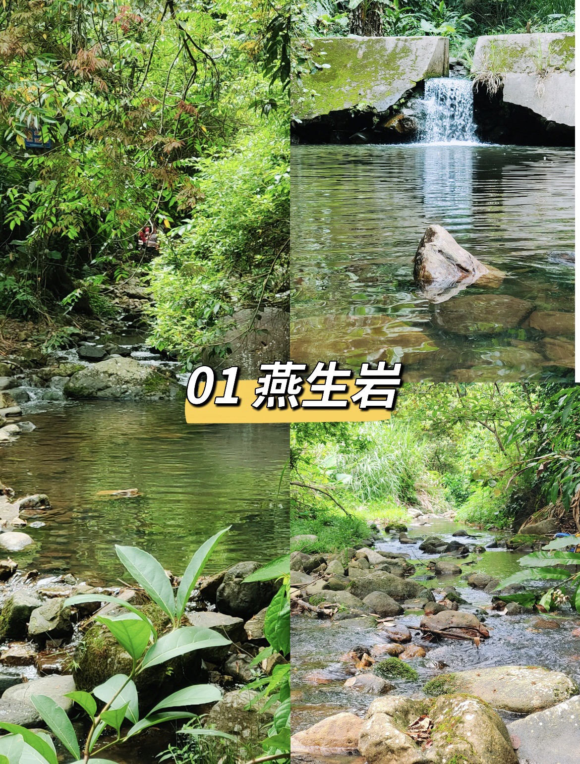 梅州燕生岩实拍图